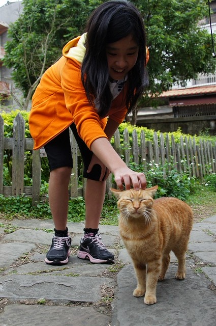 DSC09940 【台灣,新竹】透過山沟沟"共學共遊"方式,發現台灣的美麗角落(下) ~寶山大樹茶屋創意料理、漫步北埔客家小鎮、竹東意念工坊