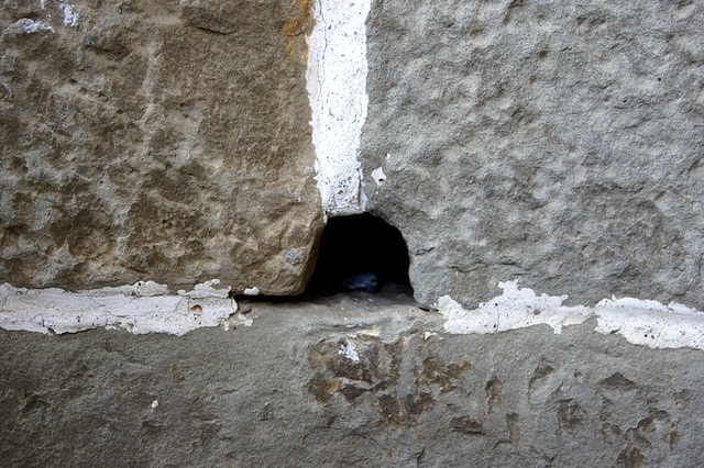 DSC09912 【台灣,新竹】透過山沟沟"共學共遊"方式,發現台灣的美麗角落(下) ~寶山大樹茶屋創意料理、漫步北埔客家小鎮、竹東意念工坊