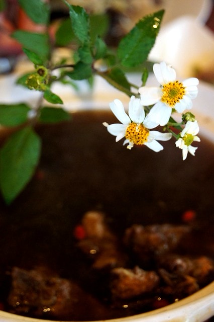 DSC09841 【台灣,新竹】透過山沟沟"共學共遊"方式,發現台灣的美麗角落(下) ~寶山大樹茶屋創意料理、漫步北埔客家小鎮、竹東意念工坊