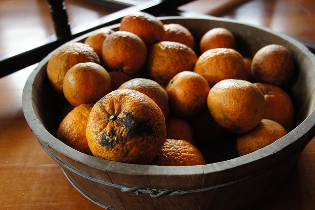 DSC09782 【台灣,新竹】透過山沟沟"共學共遊"方式,發現台灣的美麗角落(下) ~寶山大樹茶屋創意料理、漫步北埔客家小鎮、竹東意念工坊