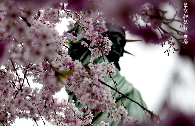 【日本，關東】雲的東京初體驗，追櫻、嚐美食、飲咖啡、嗜甜點….真是太幸福嚕