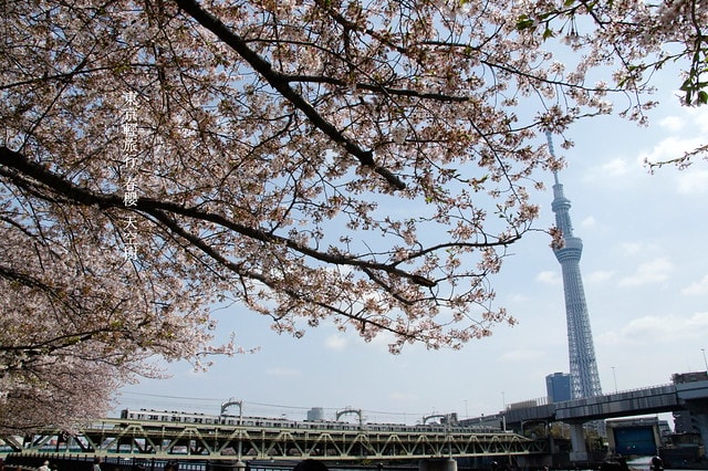 【日本，關東】雲的東京初體驗，追櫻、嚐美食、飲咖啡、嗜甜點….真是太幸福嚕