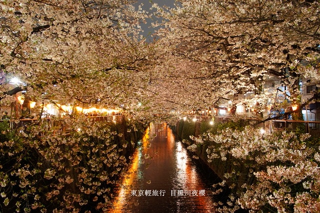 【日本，關東】雲的東京初體驗，追櫻、嚐美食、飲咖啡、嗜甜點….真是太幸福嚕