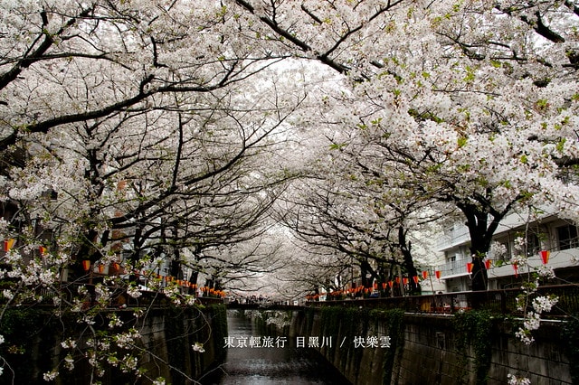 【日本，關東】雲的東京初體驗，追櫻、嚐美食、飲咖啡、嗜甜點….真是太幸福嚕