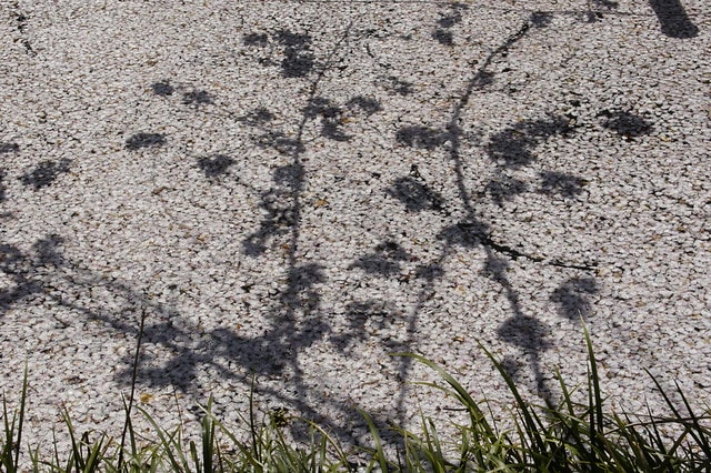 【日本，關東】雲的東京初體驗，追櫻、嚐美食、飲咖啡、嗜甜點….真是太幸福嚕
