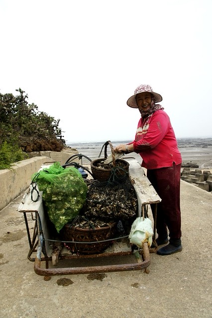 【台灣，離島，金門】古寧頭電瓶車10元帶你遊遍古寧頭戰地文化與體驗生態風光。(漫遊林厝和平紀念廣場→古寧頭戰史館→古戰場播音牆→北山石蚵田→北山聚落→南山聚落→自然溼地中心→雙鯉湖→古龍頭水尾塔)
