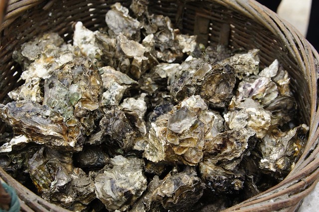 【台灣，離島，金門】古寧頭電瓶車10元帶你遊遍古寧頭戰地文化與體驗生態風光。(漫遊林厝和平紀念廣場→古寧頭戰史館→古戰場播音牆→北山石蚵田→北山聚落→南山聚落→自然溼地中心→雙鯉湖→古龍頭水尾塔)