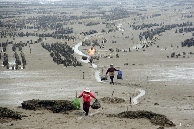 【台灣，離島，金門】古寧頭電瓶車10元帶你遊遍古寧頭戰地文化與體驗生態風光。(漫遊林厝和平紀念廣場→古寧頭戰史館→古戰場播音牆→北山石蚵田→北山聚落→南山聚落→自然溼地中心→雙鯉湖→古龍頭水尾塔)