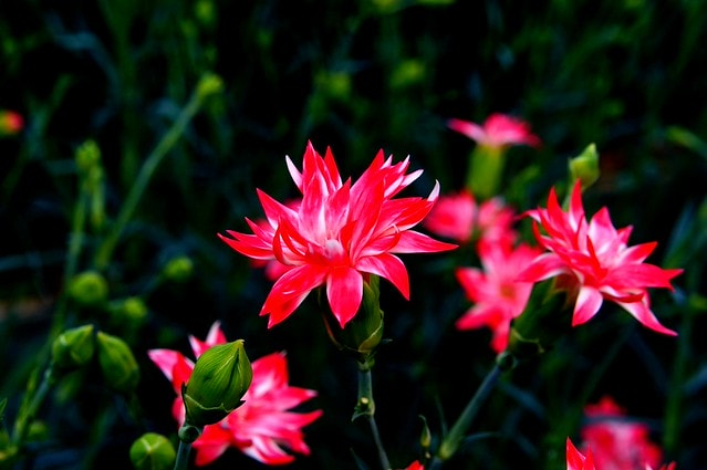 謝謝老媽一路上的支持與放心，祝雲媽&quot;母親節快樂&quot;。也祝大家有沒有過節天天都快樂哦