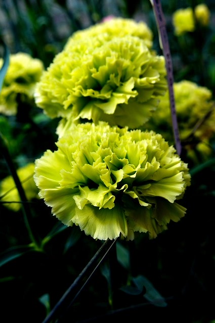 謝謝老媽一路上的支持與放心，祝雲媽&quot;母親節快樂&quot;。也祝大家有沒有過節天天都快樂哦