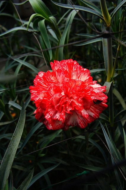 謝謝老媽一路上的支持與放心，祝雲媽&quot;母親節快樂&quot;。也祝大家有沒有過節天天都快樂哦