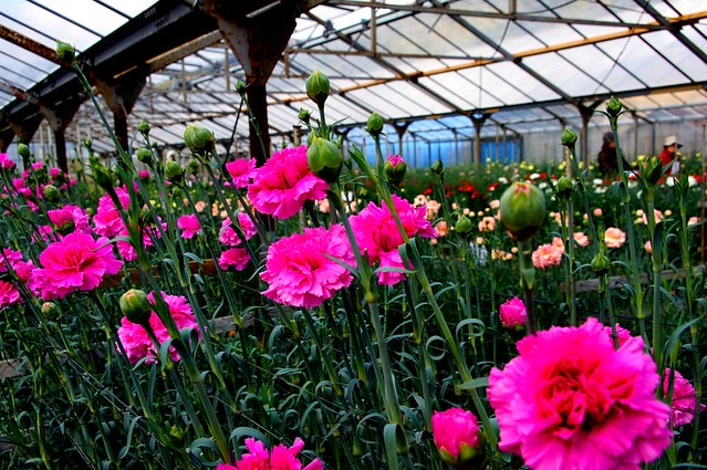 謝謝老媽一路上的支持與放心，祝雲媽&quot;母親節快樂&quot;。也祝大家有沒有過節天天都快樂哦