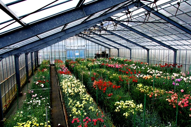 謝謝老媽一路上的支持與放心，祝雲媽&quot;母親節快樂&quot;。也祝大家有沒有過節天天都快樂哦