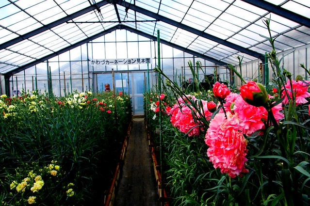 謝謝老媽一路上的支持與放心，祝雲媽&quot;母親節快樂&quot;。也祝大家有沒有過節天天都快樂哦