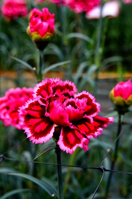 謝謝老媽一路上的支持與放心，祝雲媽&quot;母親節快樂&quot;。也祝大家有沒有過節天天都快樂哦