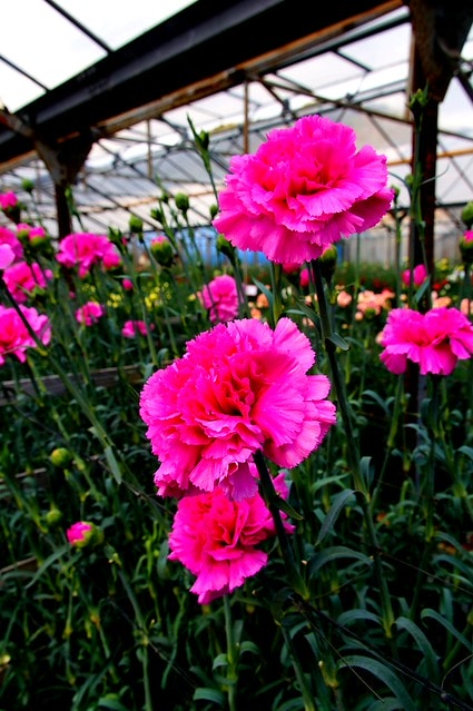 謝謝老媽一路上的支持與放心，祝雲媽&quot;母親節快樂&quot;。也祝大家有沒有過節天天都快樂哦