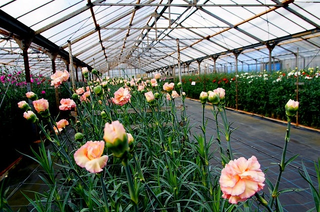 謝謝老媽一路上的支持與放心，祝雲媽&quot;母親節快樂&quot;。也祝大家有沒有過節天天都快樂哦