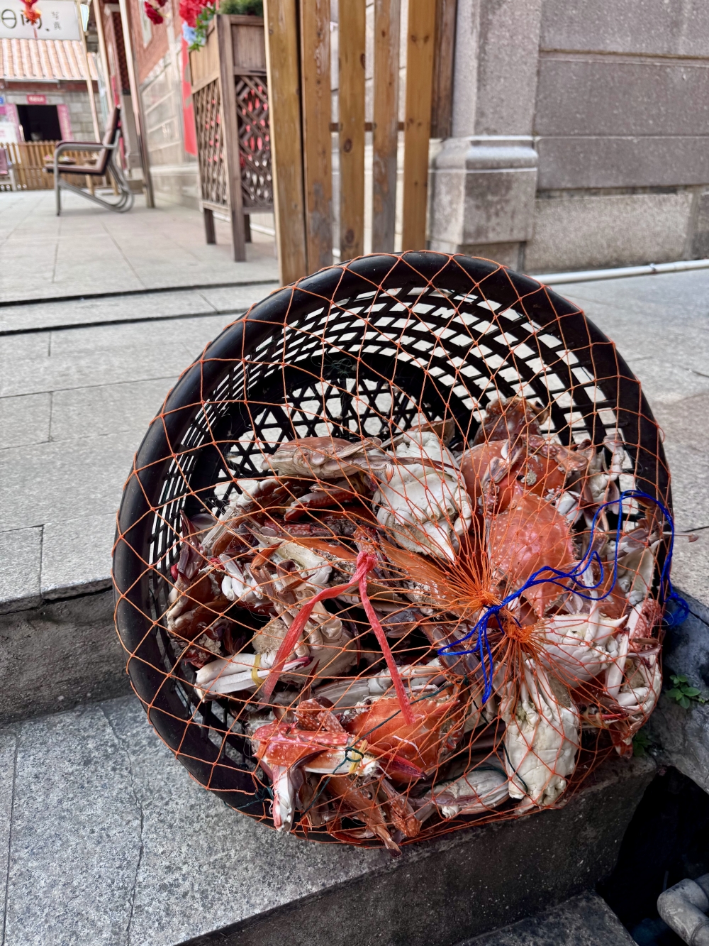 泉州旅遊必訪｜潯埔漁村簪花體驗，走進潯埔女的非物質文化遺產。