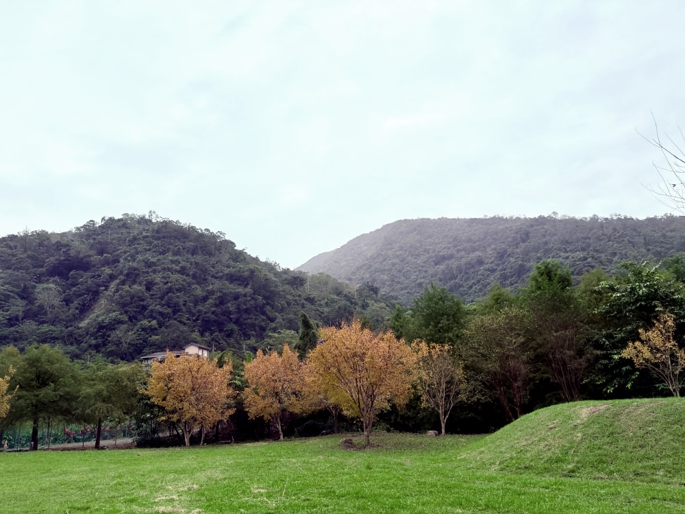 宜蘭落羽松秘境再啟|三層坪農塘重新開放!九層疊瀑湖景美拍、門票預約與最佳觀賞期一次看。(2025/11/28實況分享) - 第10張圖 宜蘭落羽松秘境再啟|三層坪農塘重新開放!九層疊瀑湖景美拍、門票預約與最佳觀賞期一次看。(2025/11/28實況分享)