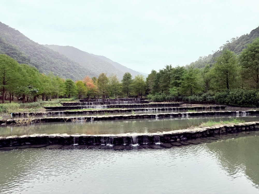宜蘭落羽松秘境再啟|三層坪農塘重新開放!九層疊瀑湖景美拍、門票預約與最佳觀賞期一次看。(2025/11/28實況分享) - 第7張圖 宜蘭落羽松秘境再啟|三層坪農塘重新開放!九層疊瀑湖景美拍、門票預約與最佳觀賞期一次看。(2025/11/28實況分享)