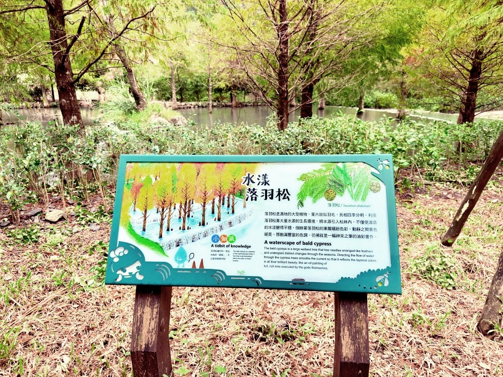 宜蘭落羽松秘境再啟|三層坪農塘重新開放!九層疊瀑湖景美拍、門票預約與最佳觀賞期一次看。(2025/11/28實況分享) - 第6張圖 宜蘭落羽松秘境再啟|三層坪農塘重新開放!九層疊瀑湖景美拍、門票預約與最佳觀賞期一次看。(2025/11/28實況分享)