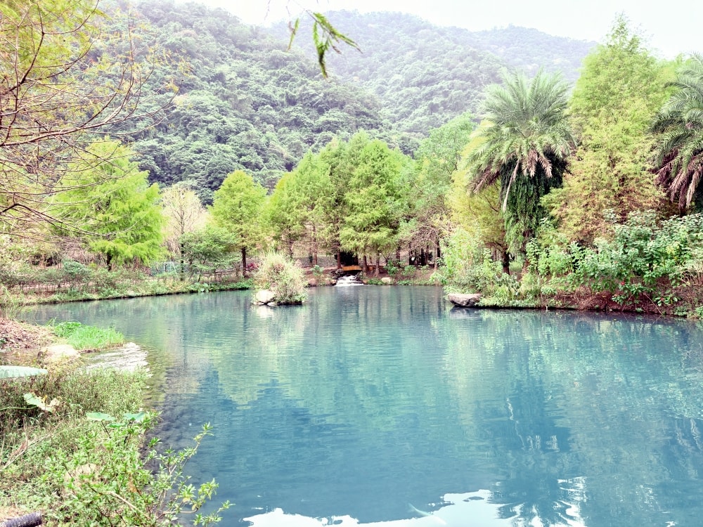宜蘭落羽松秘境再啟|三層坪農塘重新開放!九層疊瀑湖景美拍、門票預約與最佳觀賞期一次看。(2025/11/28實況分享) - 第9張圖 宜蘭落羽松秘境再啟|三層坪農塘重新開放!九層疊瀑湖景美拍、門票預約與最佳觀賞期一次看。(2025/11/28實況分享)