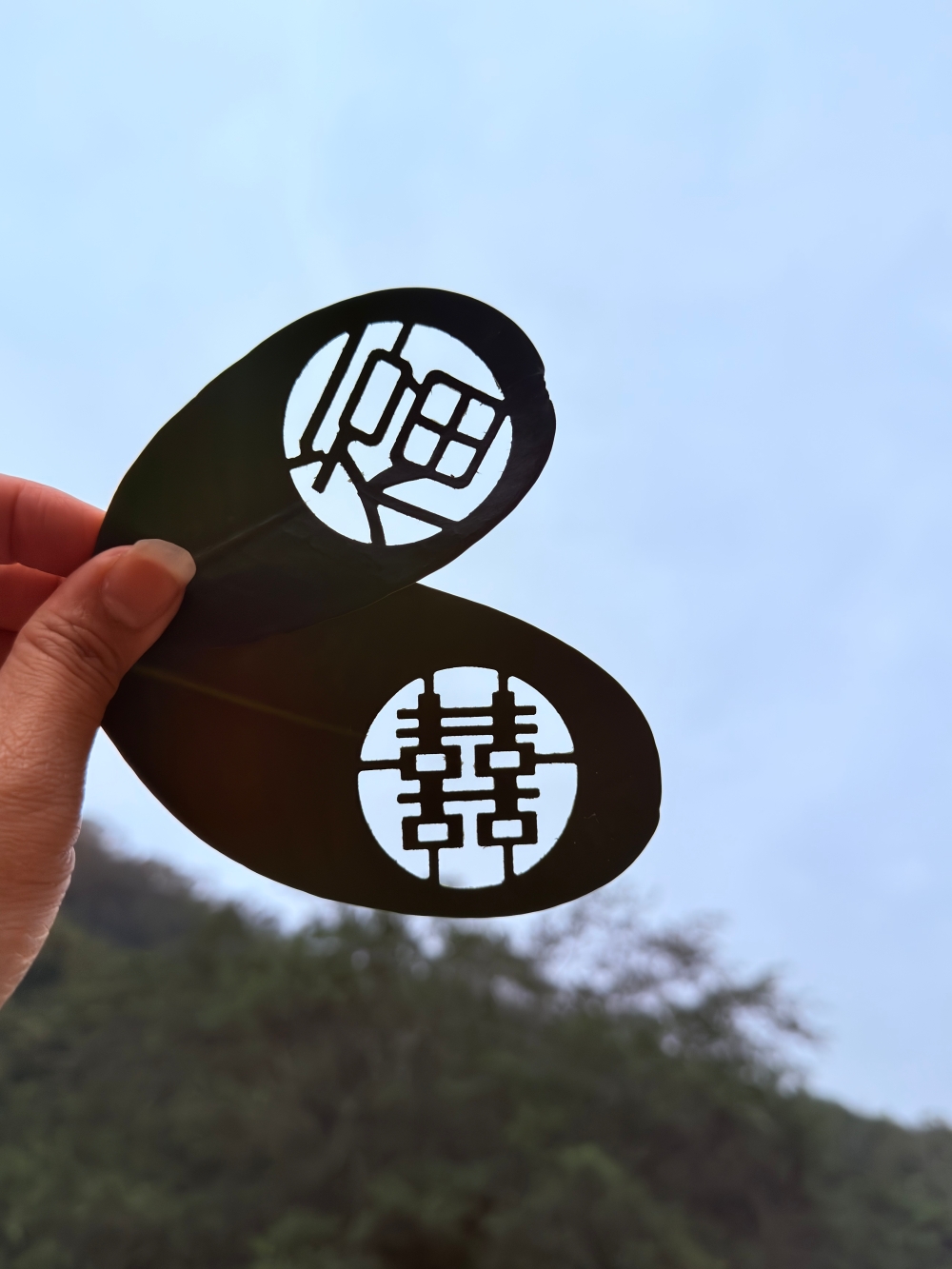 宜蘭縣｜員山鄉｜宜蘭豬龍寨~從豬圈變身山林秘境，這天我們在宜蘭吃了一份超療癒的 DIY 窯烤披薩🍕✨