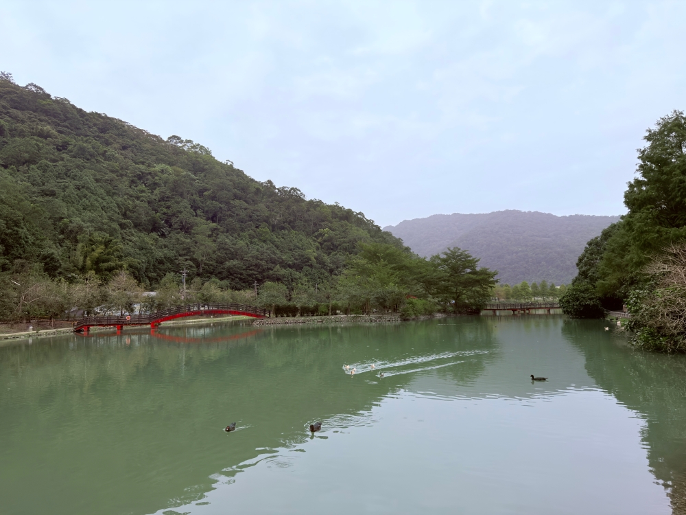 宜蘭縣｜員山鄉｜宜蘭豬龍寨~從豬圈變身山林秘境，這天我們在宜蘭吃了一份超療癒的 DIY 窯烤披薩🍕✨