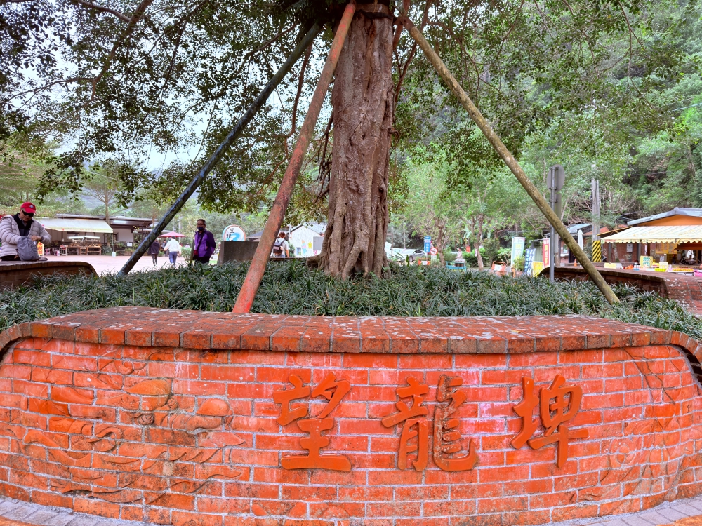 宜蘭縣｜員山鄉｜宜蘭豬龍寨~從豬圈變身山林秘境，這天我們在宜蘭吃了一份超療癒的 DIY 窯烤披薩🍕✨