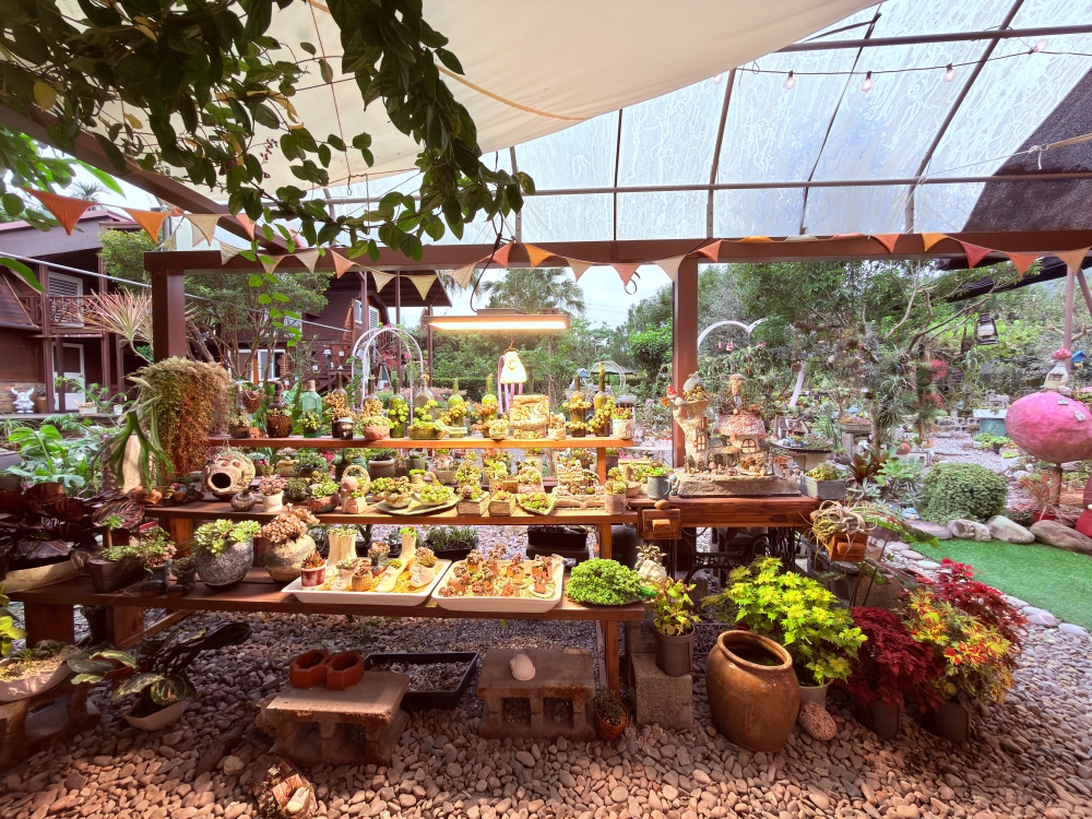 【宜蘭私房景點】木渠多肉農場|多肉植物 DIY × 療癒系花園,在地人才知道的秘境。 - 第3張圖 【宜蘭私房景點】木渠多肉農場|多肉植物 DIY × 療癒系花園,在地人才知道的秘境。