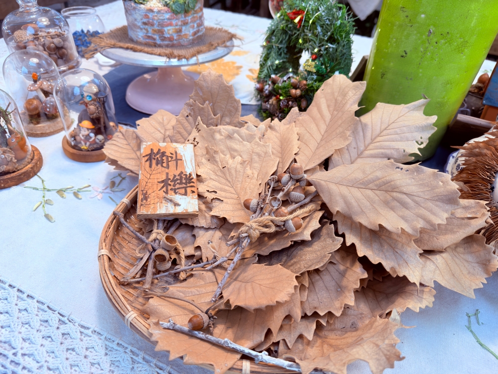 【宜蘭私房景點】木渠多肉農場|多肉植物 DIY × 療癒系花園,在地人才知道的秘境。 - 第24張圖 【宜蘭私房景點】木渠多肉農場|多肉植物 DIY × 療癒系花園,在地人才知道的秘境。