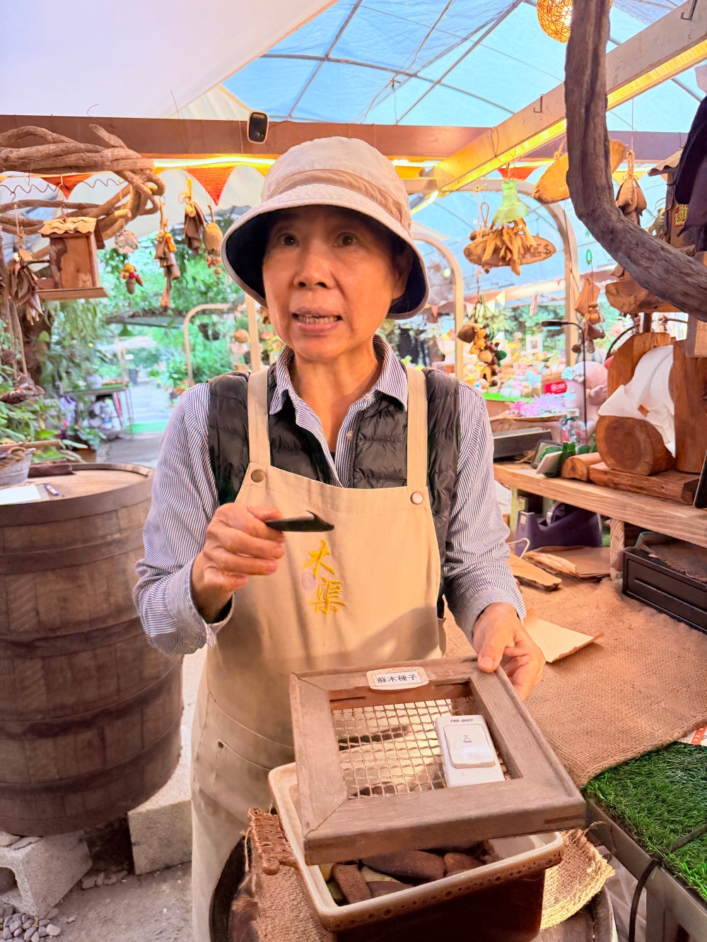 【宜蘭私房景點】木渠多肉農場|多肉植物 DIY × 療癒系花園,在地人才知道的秘境。 - 第4張圖 【宜蘭私房景點】木渠多肉農場|多肉植物 DIY × 療癒系花園,在地人才知道的秘境。