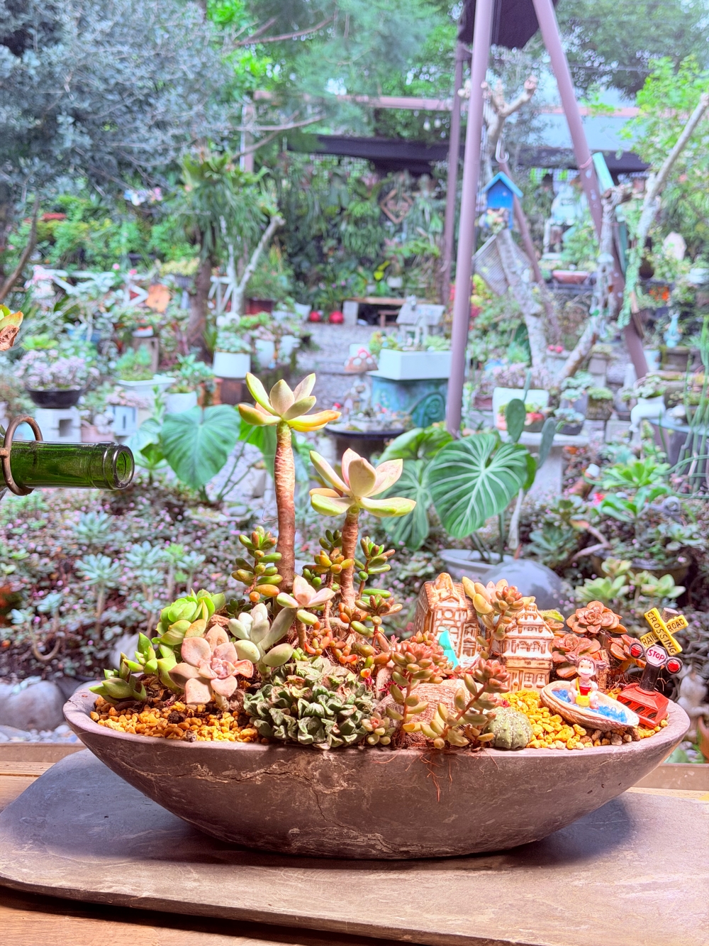 【宜蘭私房景點】木渠多肉農場|多肉植物 DIY × 療癒系花園,在地人才知道的秘境。 - 第7張圖 【宜蘭私房景點】木渠多肉農場|多肉植物 DIY × 療癒系花園,在地人才知道的秘境。