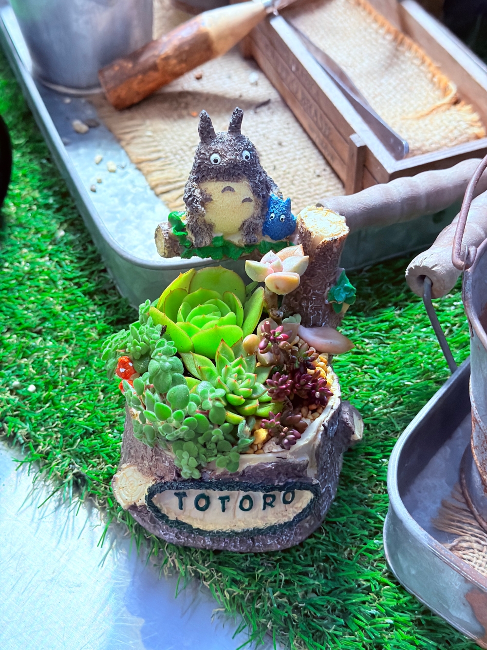 【宜蘭私房景點】木渠多肉農場|多肉植物 DIY × 療癒系花園,在地人才知道的秘境。 - 第17張圖 【宜蘭私房景點】木渠多肉農場|多肉植物 DIY × 療癒系花園,在地人才知道的秘境。