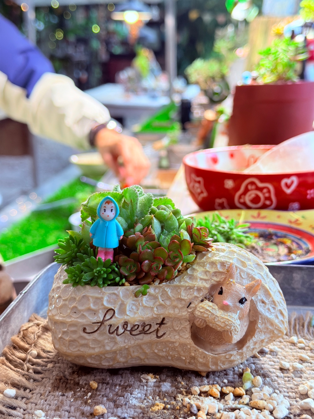 【宜蘭私房景點】木渠多肉農場|多肉植物 DIY × 療癒系花園,在地人才知道的秘境。 - 第18張圖 【宜蘭私房景點】木渠多肉農場|多肉植物 DIY × 療癒系花園,在地人才知道的秘境。