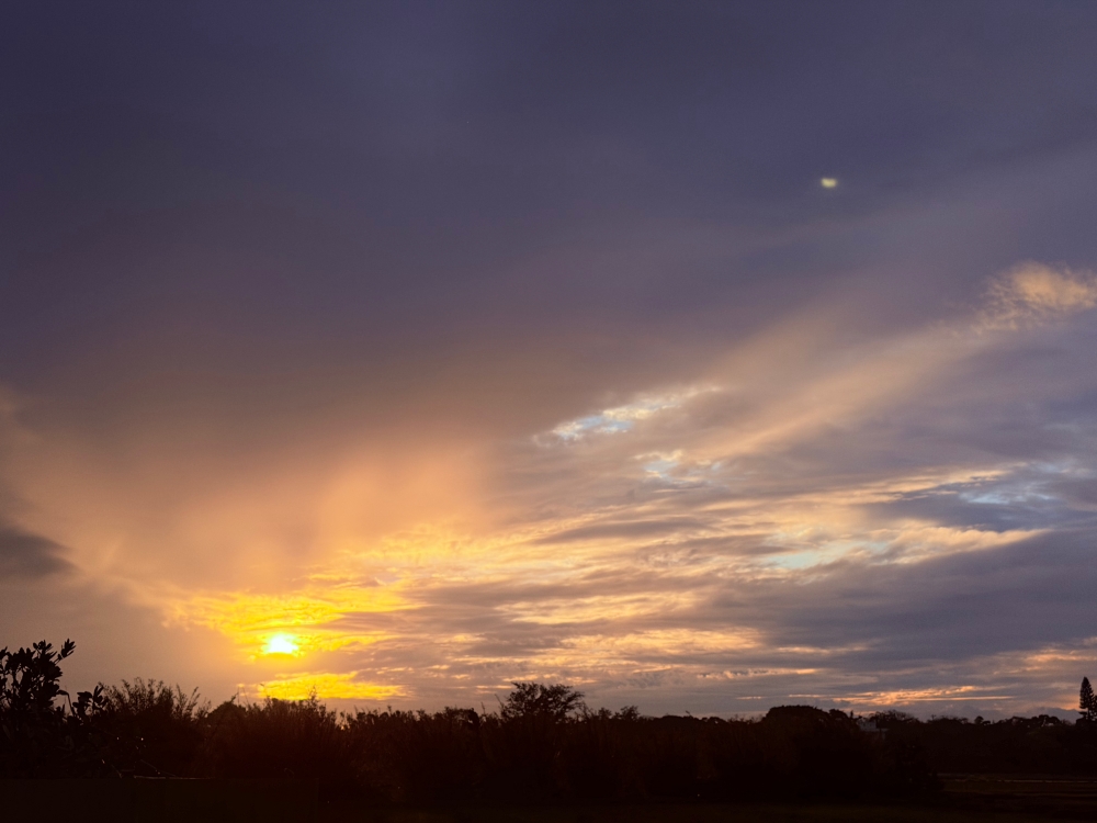 桃園新屋咖啡推薦｜忻林咖啡~永安漁港附近的寵物友善咖啡館，在草地、夕陽與慢時間裡坐一下午。