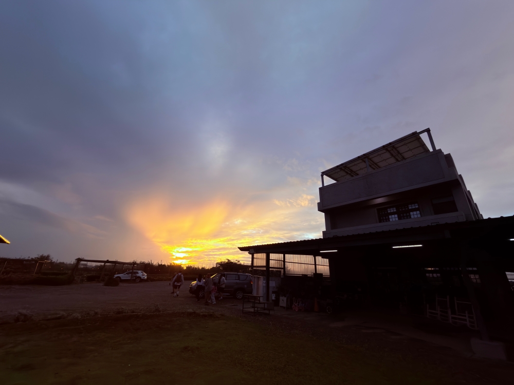 桃園新屋咖啡推薦｜忻林咖啡~永安漁港附近的寵物友善咖啡館，在草地、夕陽與慢時間裡坐一下午。