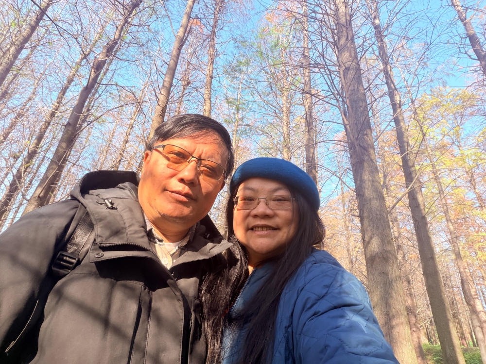 楊梅落羽松秘境｜錯過的不是風景，而是季節。（2025年台灣落羽松）