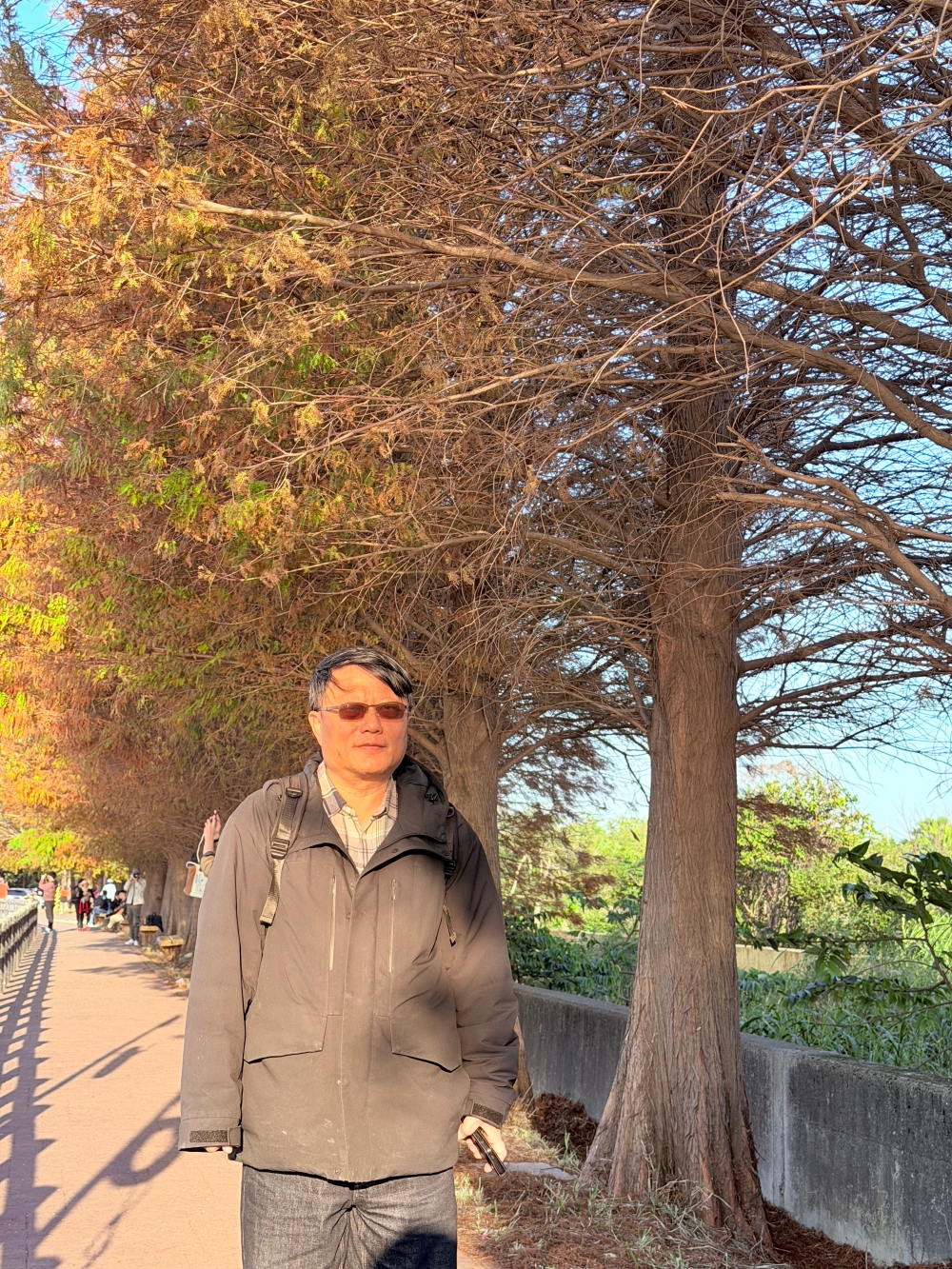 霄裡大池落羽松林｜桃園八德免費落羽松景點，一次次錯過後，終走進季節尾聲的湖畔風景。（2025年台灣落羽松）