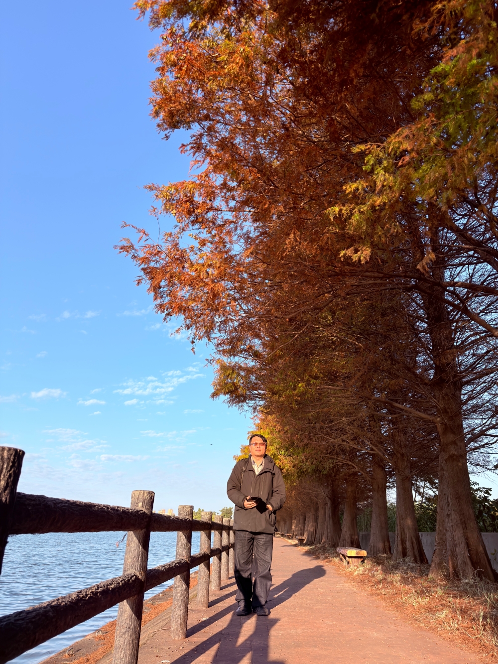 霄裡大池落羽松林｜桃園八德免費落羽松景點，一次次錯過後，終走進季節尾聲的湖畔風景。（2025年台灣落羽松）