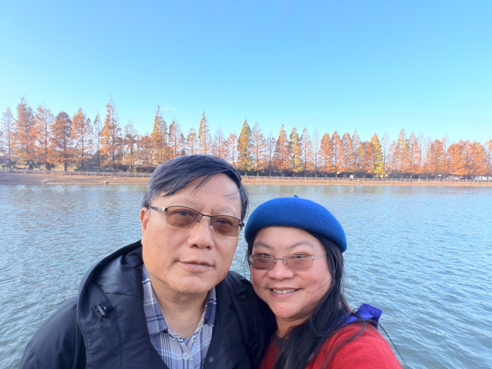 霄裡大池落羽松林｜桃園八德免費落羽松景點，一次次錯過後，終走進季節尾聲的湖畔風景。（2025年台灣落羽松）