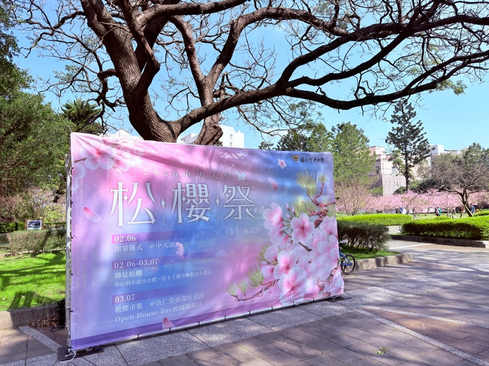 2026中央大學松櫻祭｜在松林與櫻花之間，遇見春天。（20260212中央大學櫻花實況）