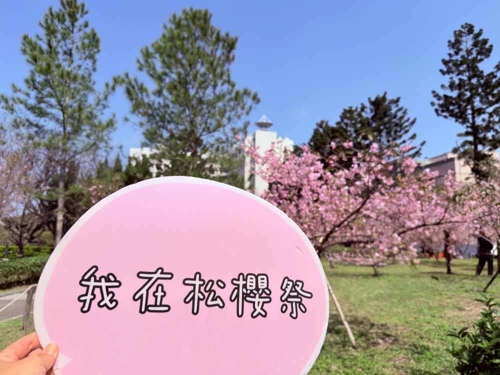 2026中央大學松櫻祭｜在松林與櫻花之間，遇見春天。（20260212中央大學櫻花實況）