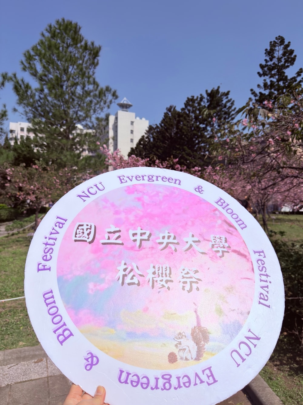 2026中央大學松櫻祭｜在松林與櫻花之間，遇見春天。（20260212中央大學櫻花實況）