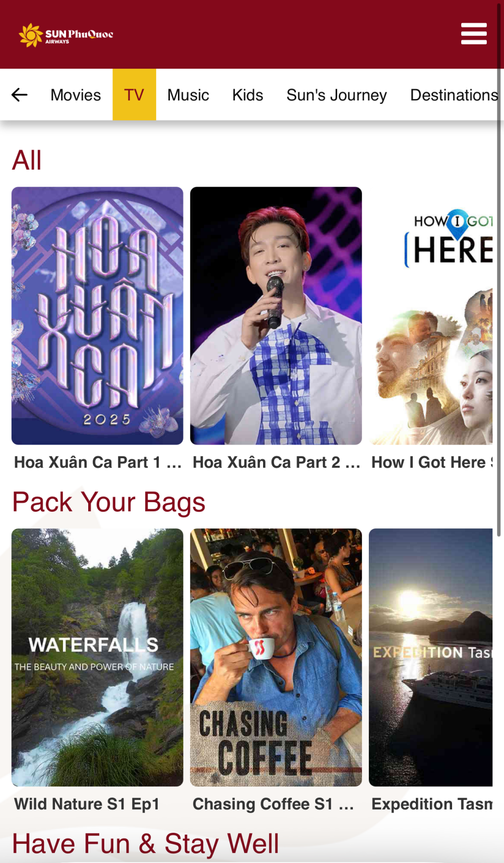 太陽富國航空機上娛樂