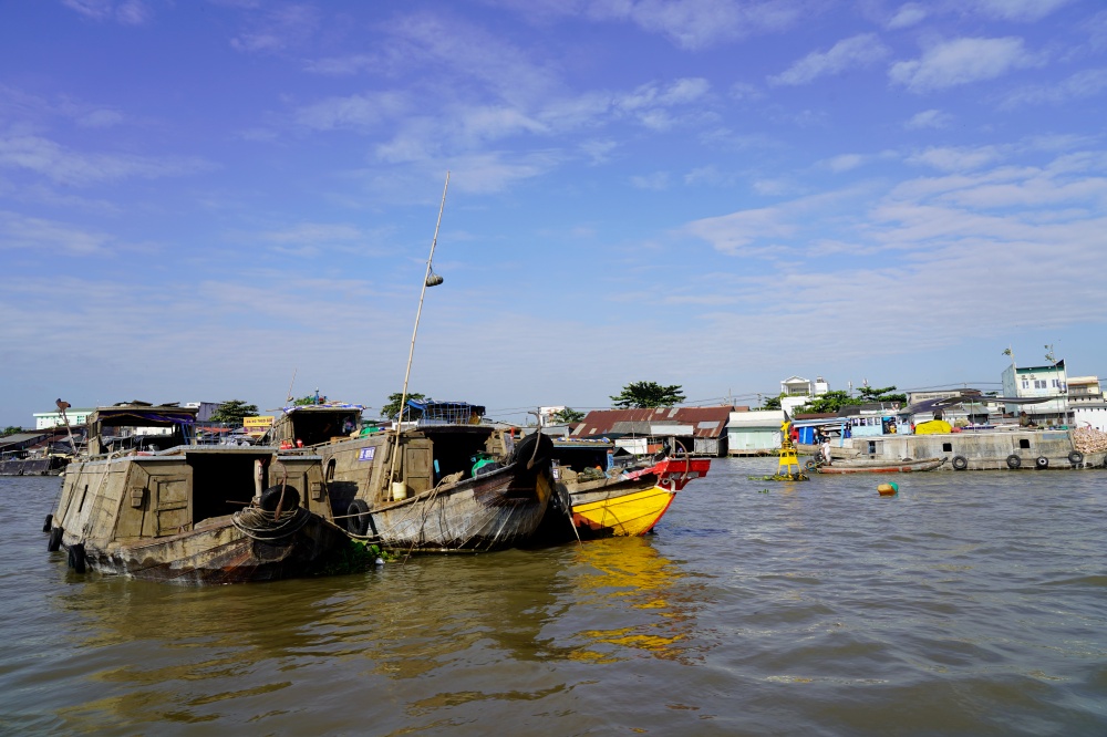 DSC7772