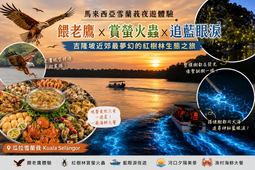 雪蘭莪體驗活動推薦｜餵老鷹、賞螢火蟲、追藍眼淚！吉隆坡近郊最夢幻的紅樹林夜遊與海鮮大餐。