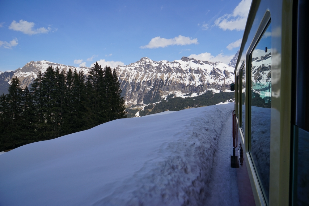 勞特布龍嫩－米倫登山鐵路（Bergbahn Lauterbrunnen–Mürren，簡稱 BLM）