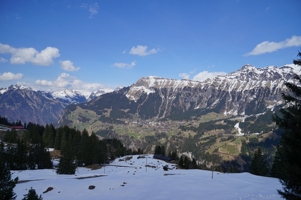勞特布龍嫩－米倫登山鐵路（Bergbahn Lauterbrunnen–Mürren，簡稱 BLM）