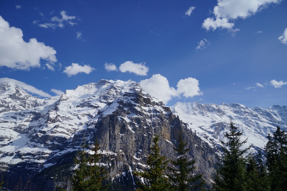 勞特布龍嫩－米倫登山鐵路（Bergbahn Lauterbrunnen–Mürren，簡稱 BLM）